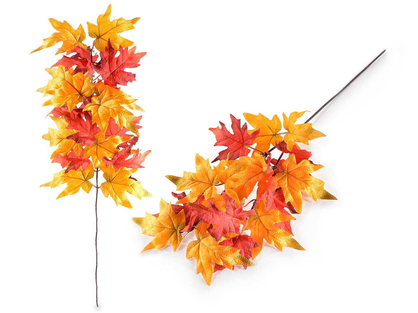 Ramo Autunnale