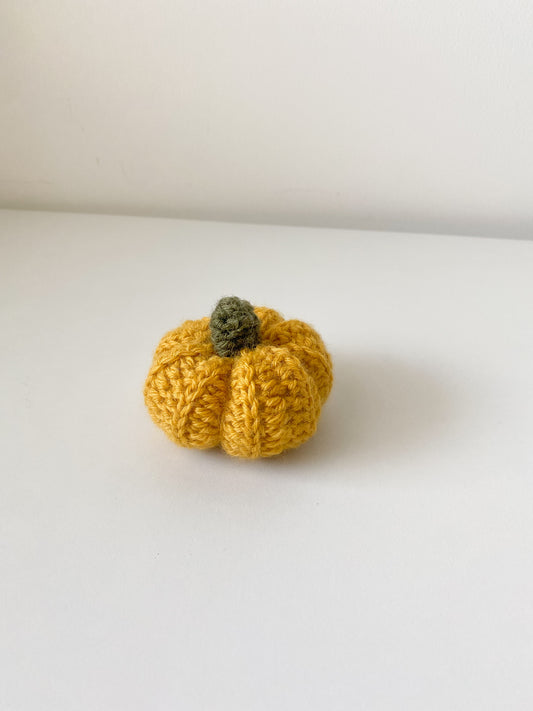 Zucchetta senape (piccolissima)