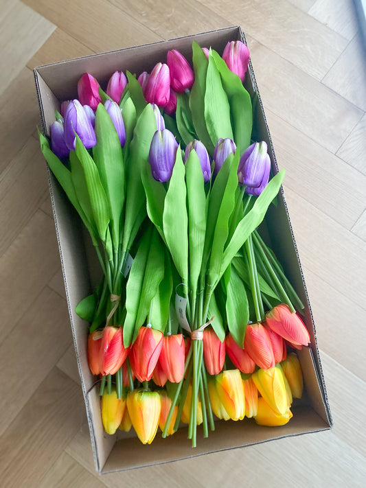 Tulipani