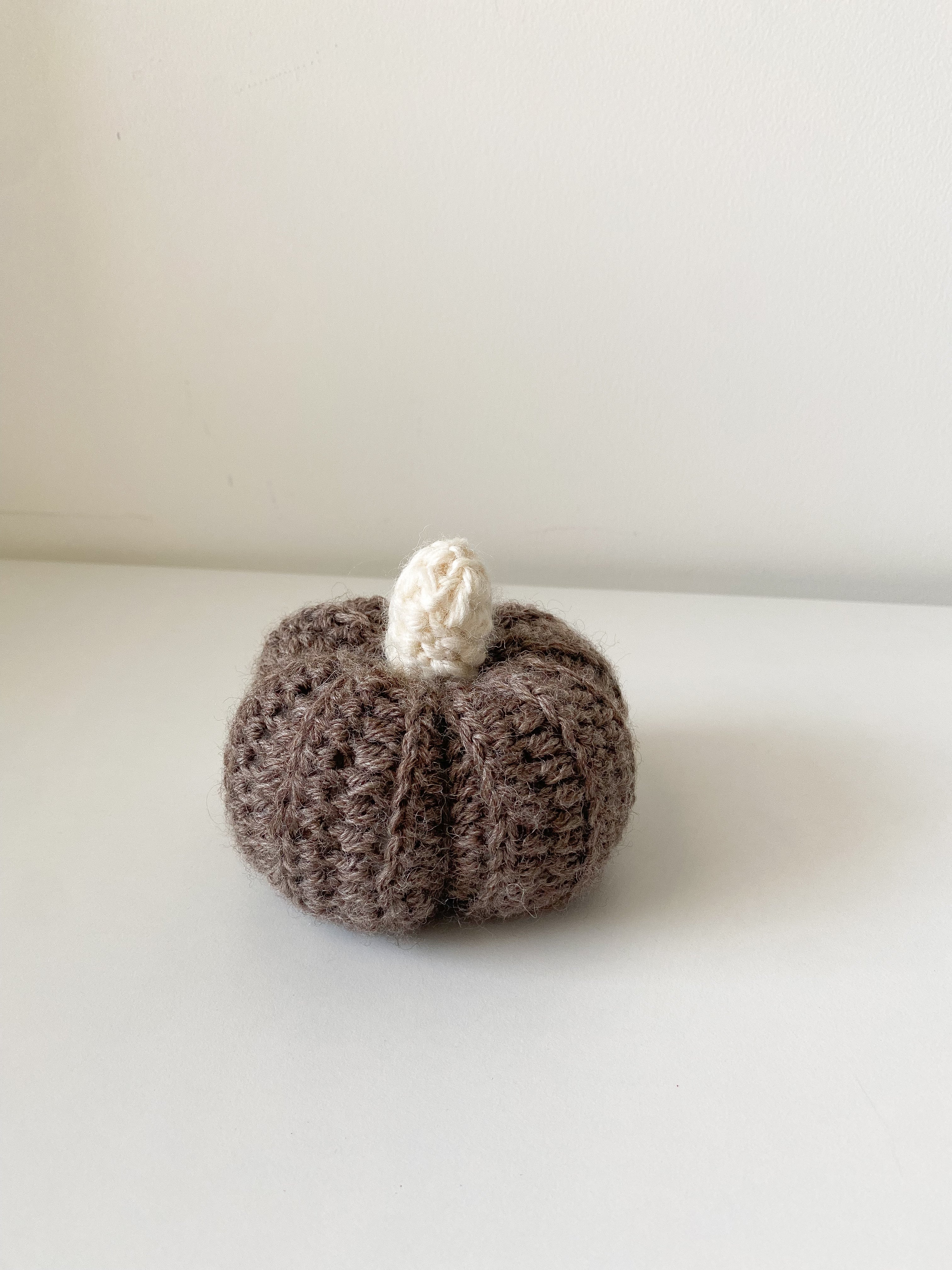 Zucchetta Tortora (media)