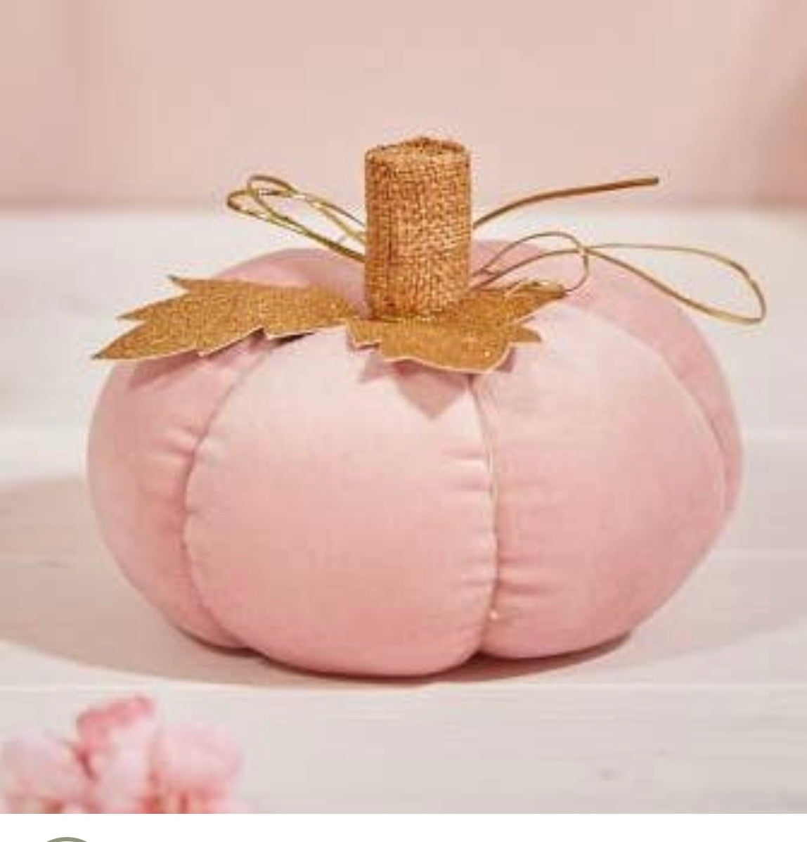 Zucca in velluto