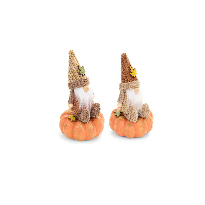 Gnomo Su Zucca