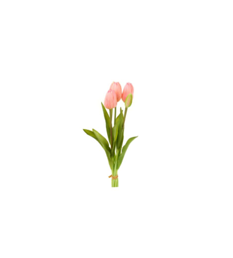 Tulipani Rosa Chiaro