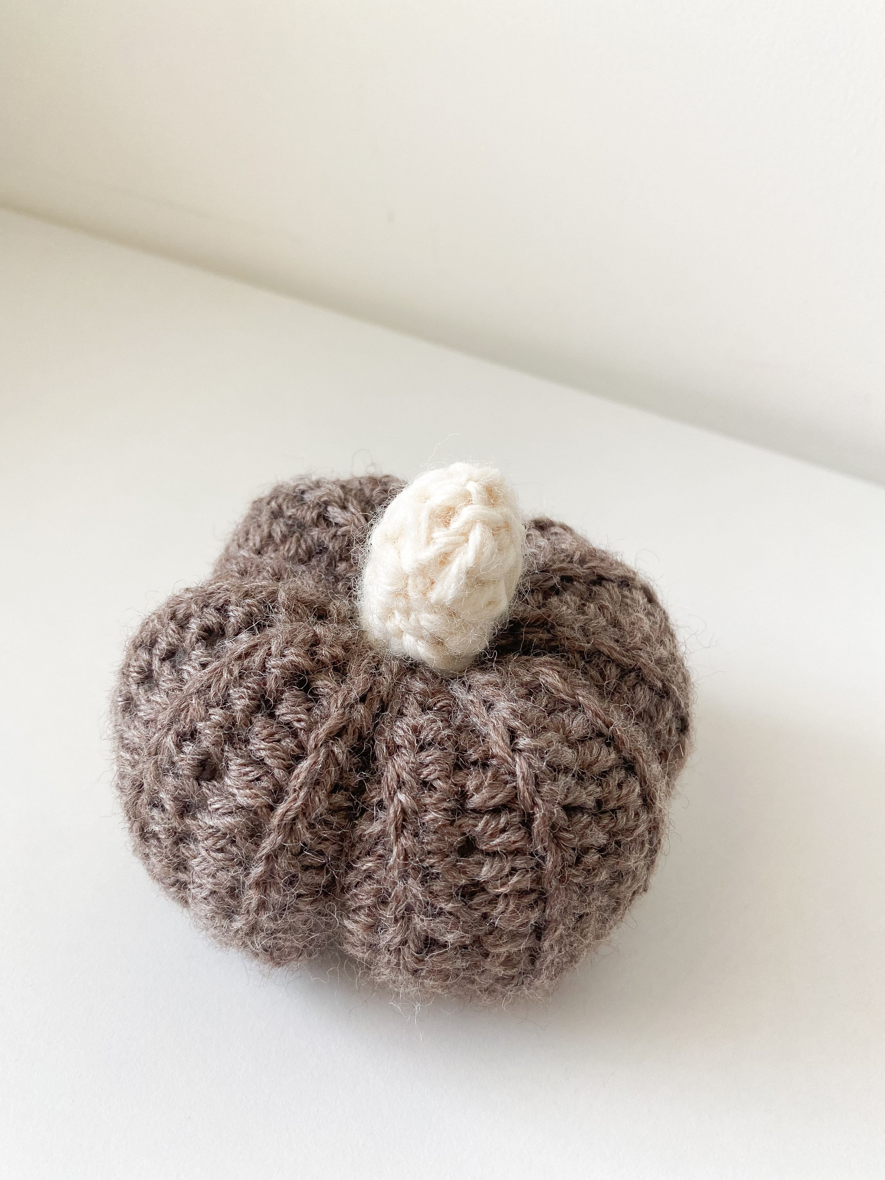 Zucchetta Tortora (media)