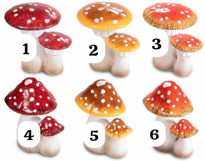 Funghi in terracotta