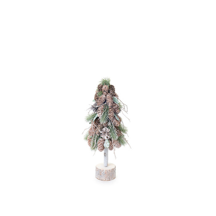 Albero pigne