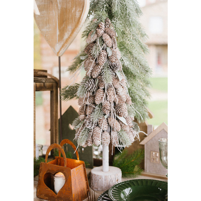 Albero pigne